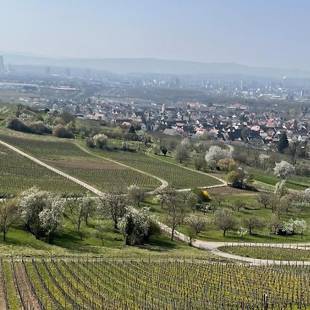Landgasthof Rebstock Weil Am Rhein / Basel Weil am Rhein Exterior foto
