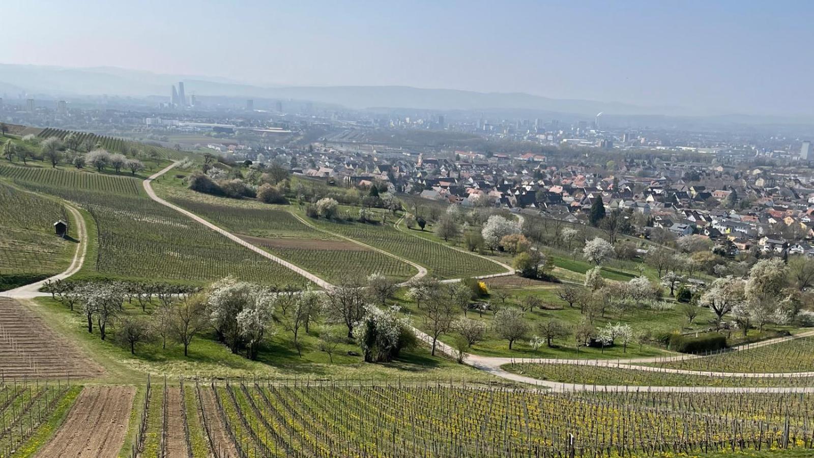 Landgasthof Rebstock Weil Am Rhein / Basel Weil am Rhein Exterior foto